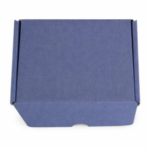 fabrica de caixa de papelão para sedex colorida