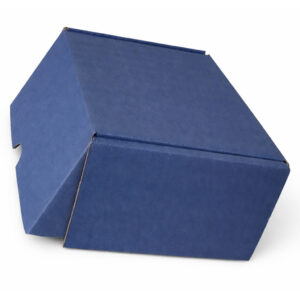 fabrica de caixa de papelão para sedex colorida